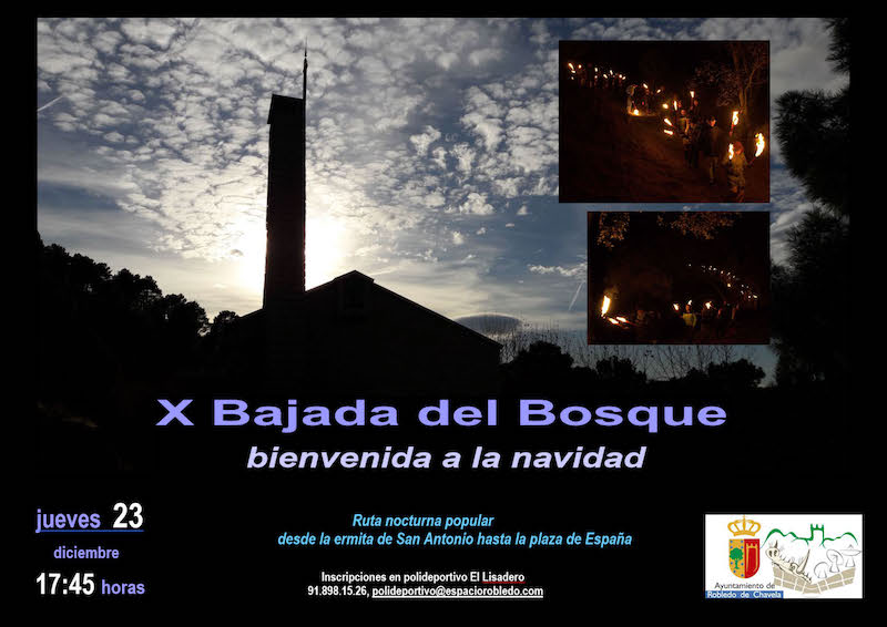 Cartel bajda al bosque 2021